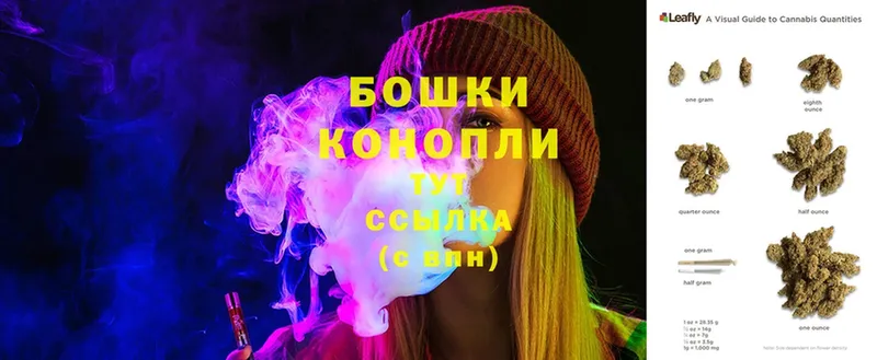 Бошки Шишки семена  Кызыл 